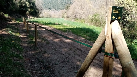 REOBRE AL PÚBLIC LA RUTA DE SALAMINA 3: EL SANTUARI DEL COLLELL 